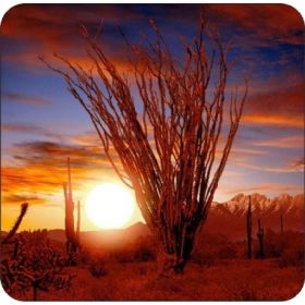 Set of 4 Coasters Arizona Sunset